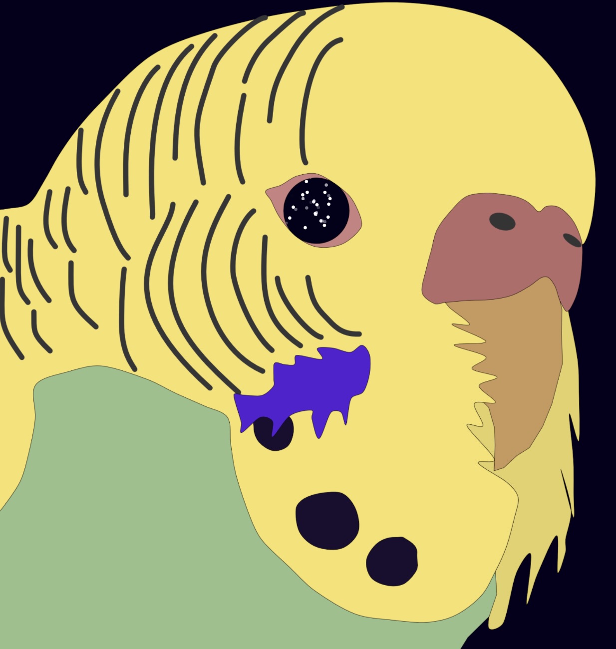 Day 5 - budgie close up with starry eyes